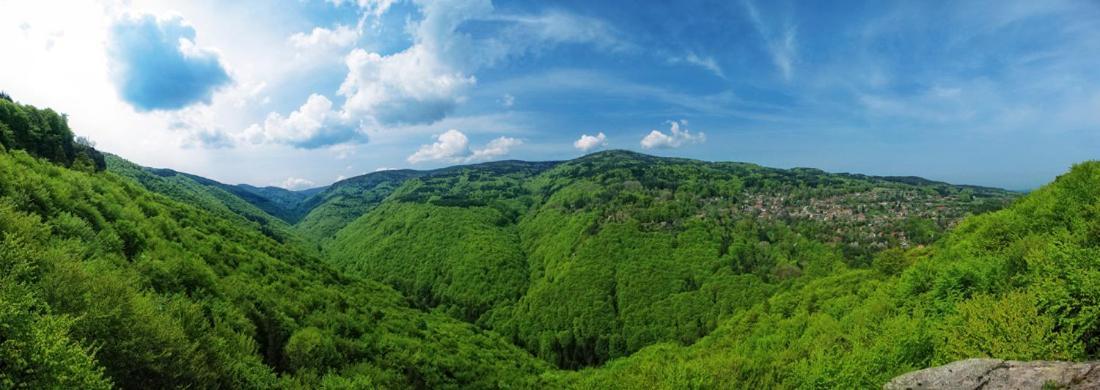 Eco Hotel Zdravetz Tsar Kaloyan  Екстер'єр фото
